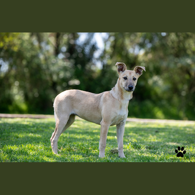 Photo of Winnie