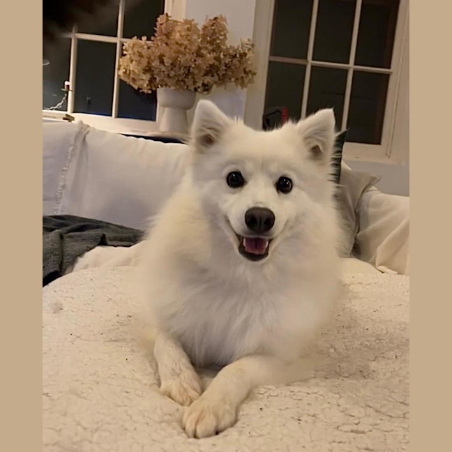 Photo of Bella 