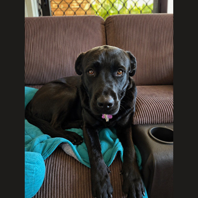 Photo of Maggie
