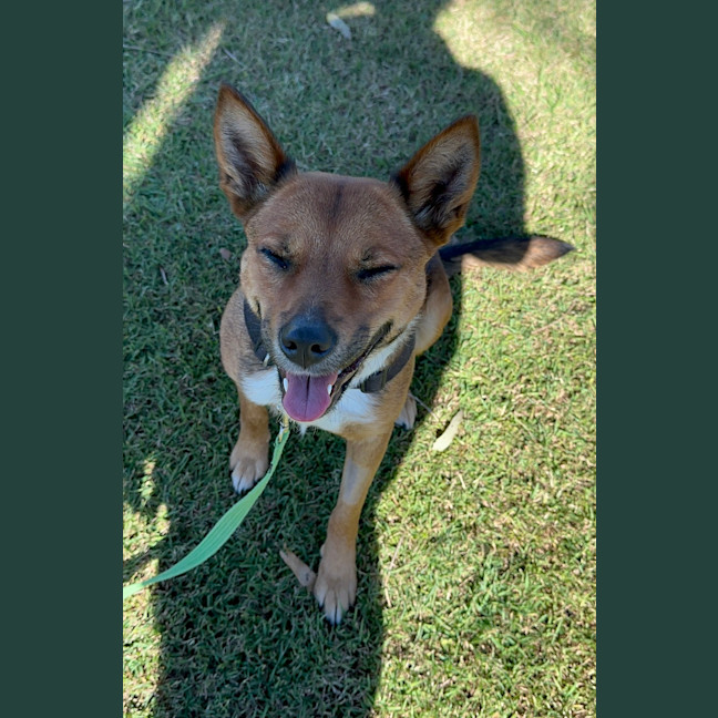 Photo of Lily