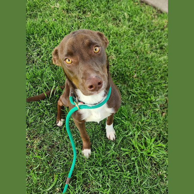 Photo of Suzie