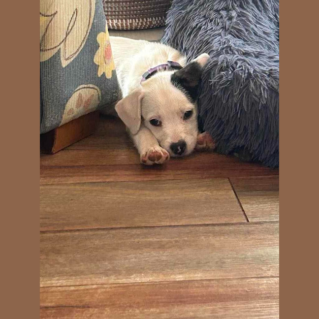 Photo of Lenny