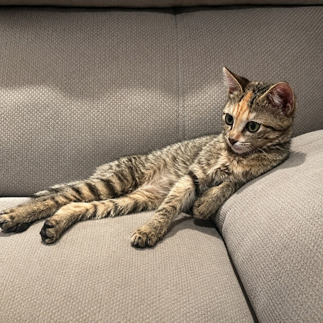 Photo of Lucie
