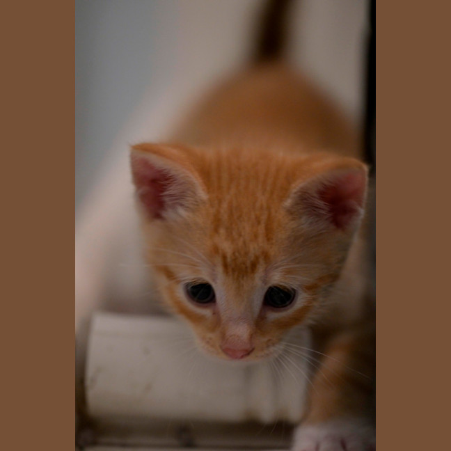 Photo of 🧡 Cinnabon 🤍