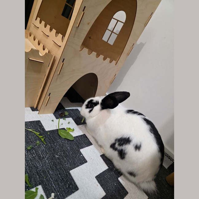 Photo of Andy & Astro