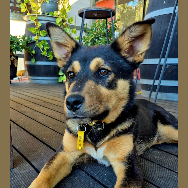 Photo of Jeff