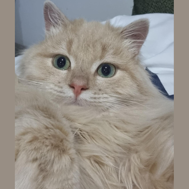 Photo of Wesley