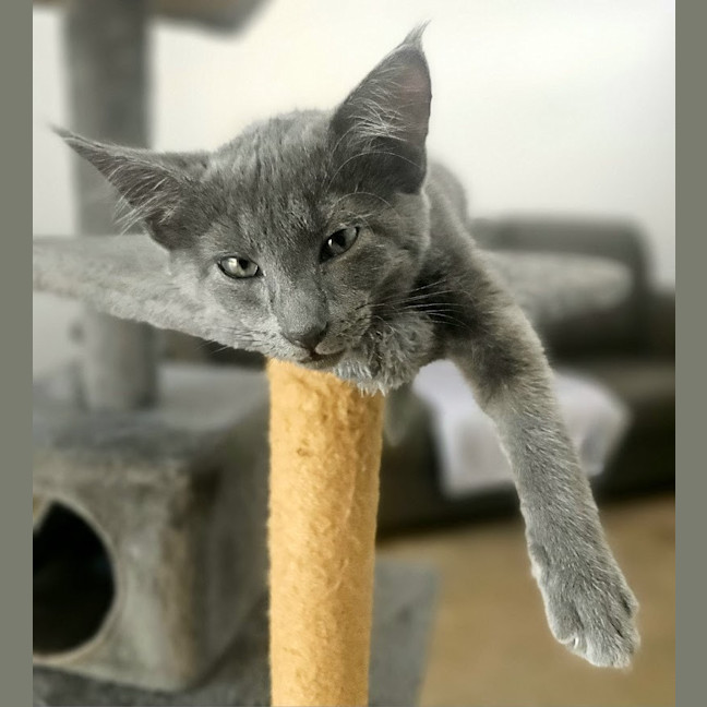 Photo of Asher