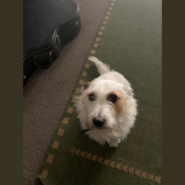 Photo of Russell Russelton