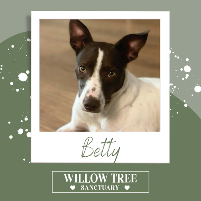 Photo of Betty 