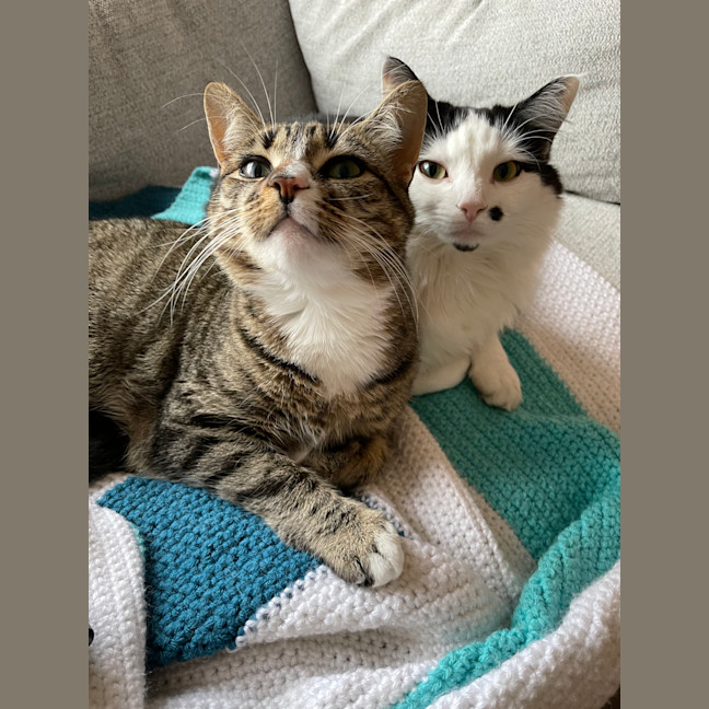 Photo of Alexa & Cindy