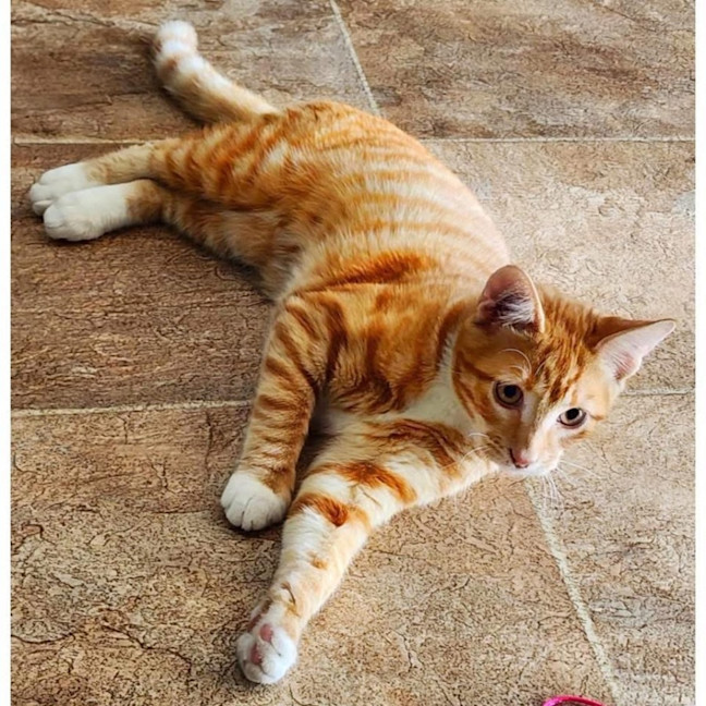 Photo of 12429   Chester