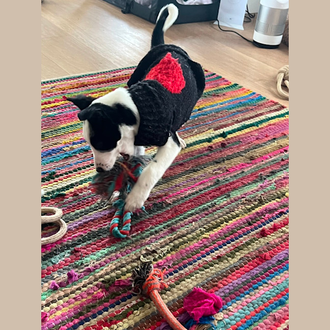 Photo of Oakley