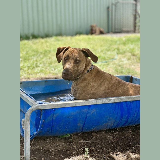 Photo of Jax