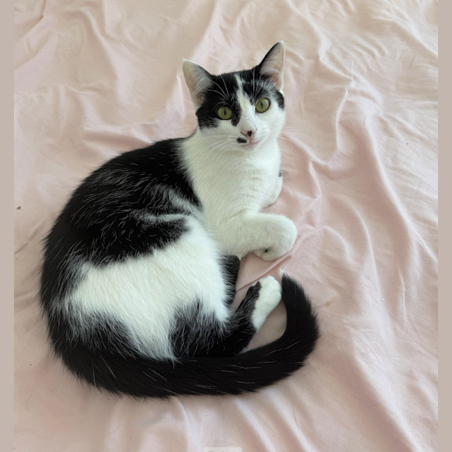 Photo of Rocket Scott