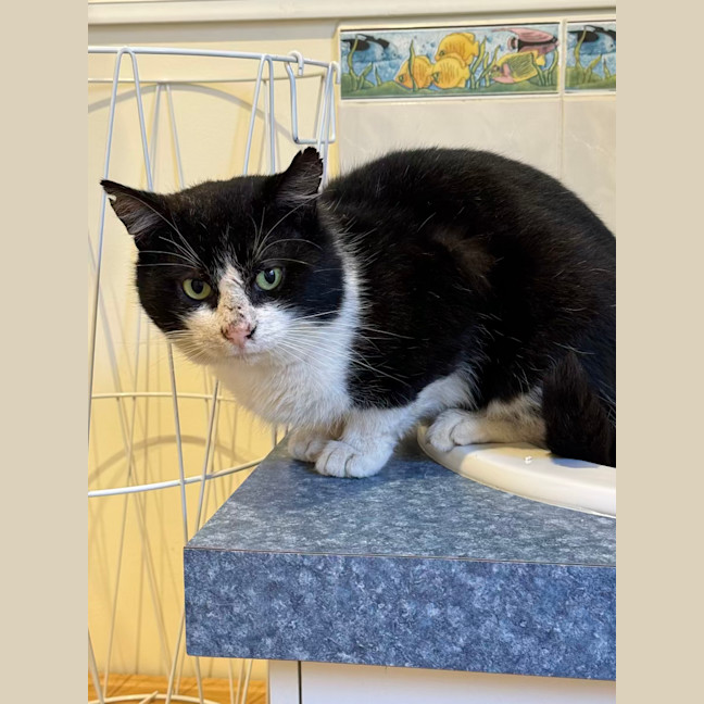 Photo of Bruce Wayne