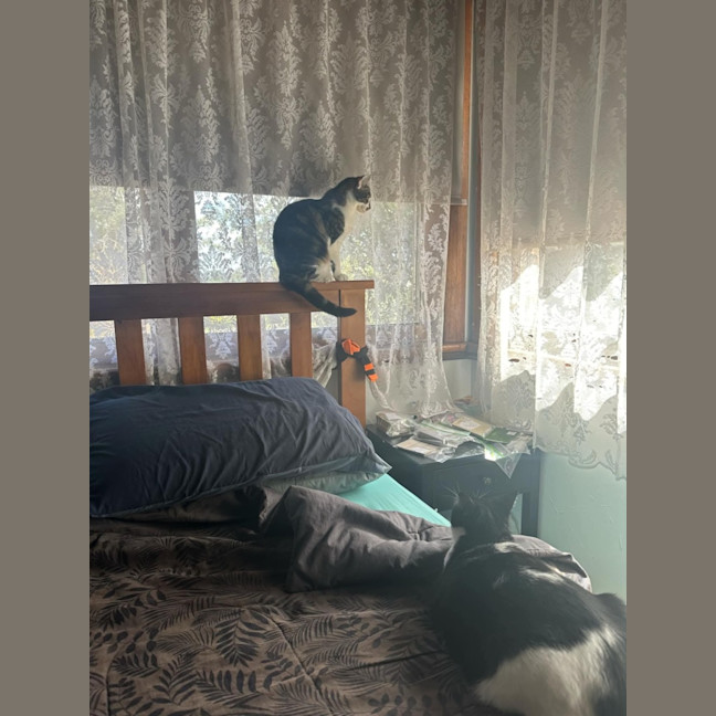 Photo of Laundry Basket