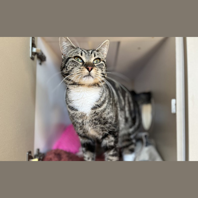 Photo of Clancy