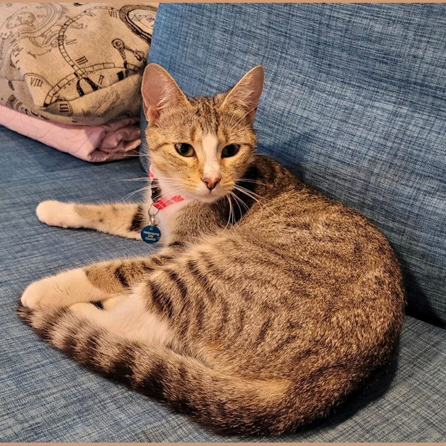 Photo of Belle