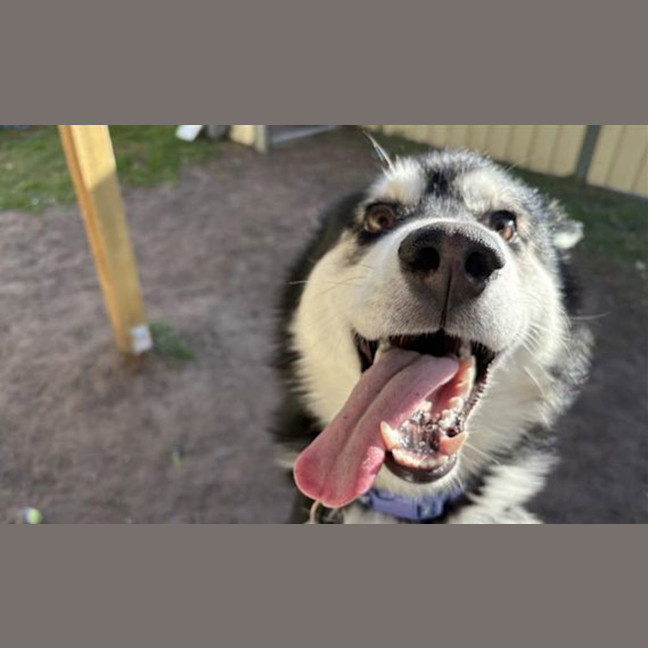 Photo of Korra