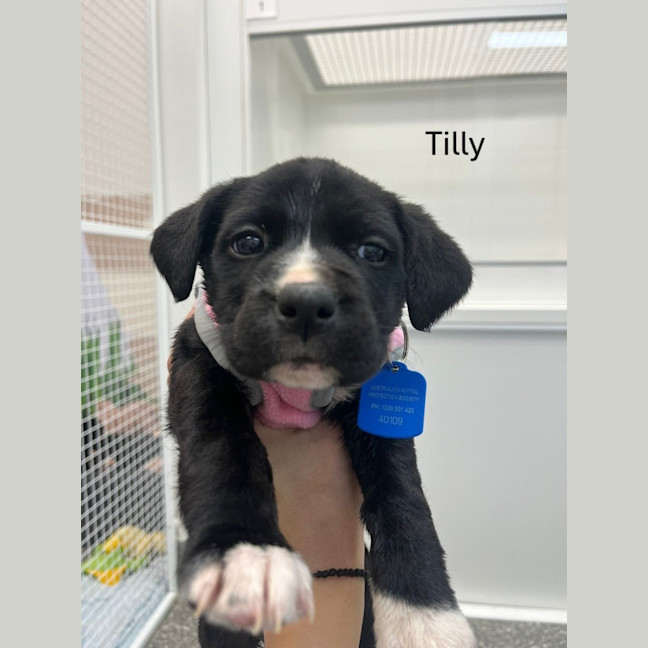 Photo of The Magnificent Seven!