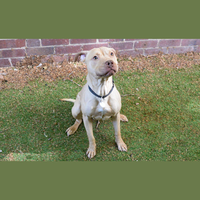 Photo of Xena