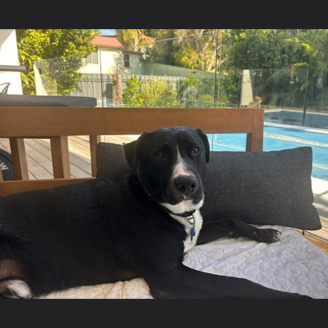 Photo of Bentley