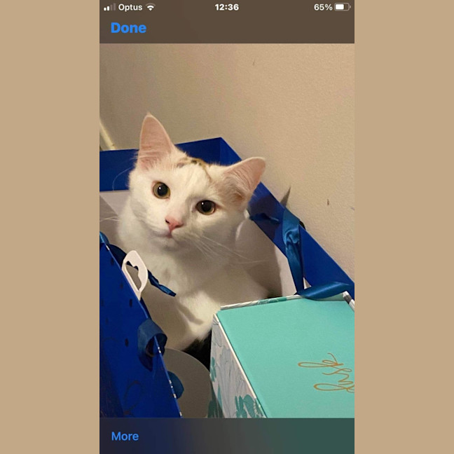 Photo of Stormi
