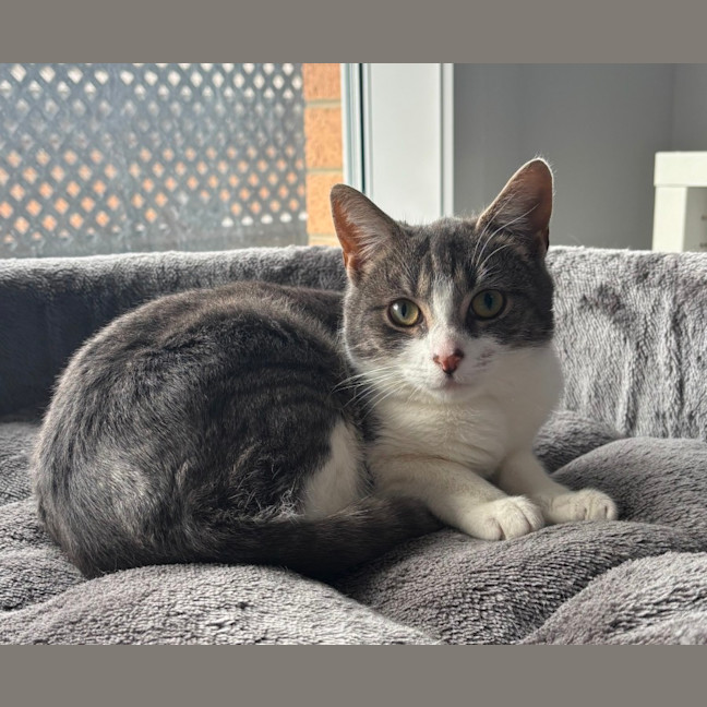 Photo of Sylvie 🌷