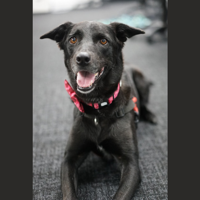 Photo of Marnie