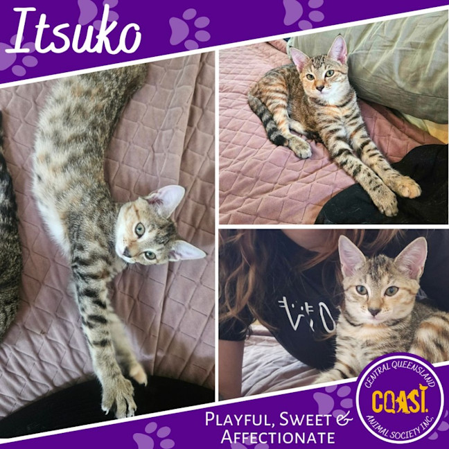 Photo of Itsuko