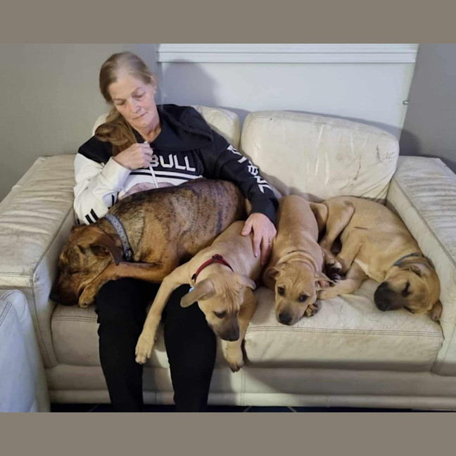 Photo of Chestnut (Chester)