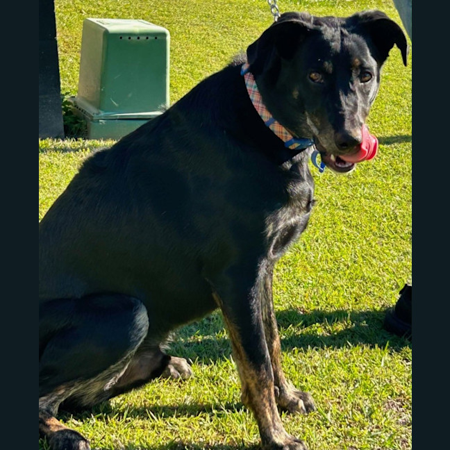 Photo of Zane 