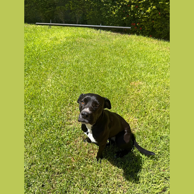 Photo of Korra