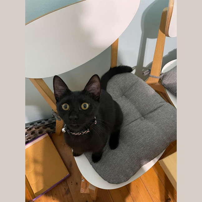 Photo of Shuri