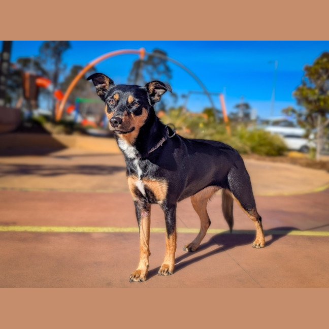 Photo of Isla 