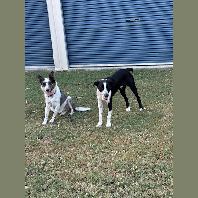 Photo of Tucker