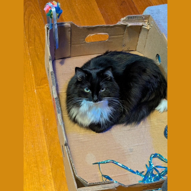 Photo of Cloudy And Midnight