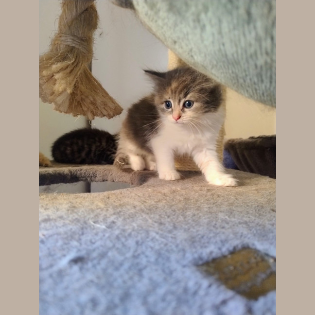 Photo of Elinor