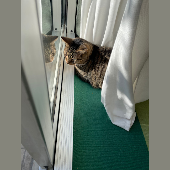 Photo of Beans