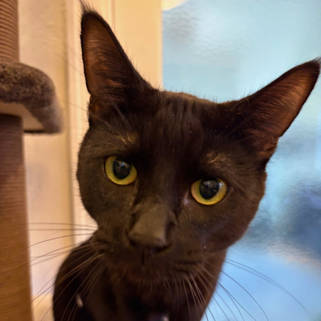 Photo of Lord Luna