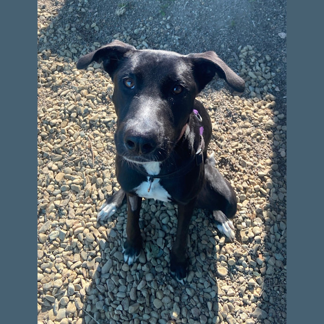 Photo of Betty Boop 