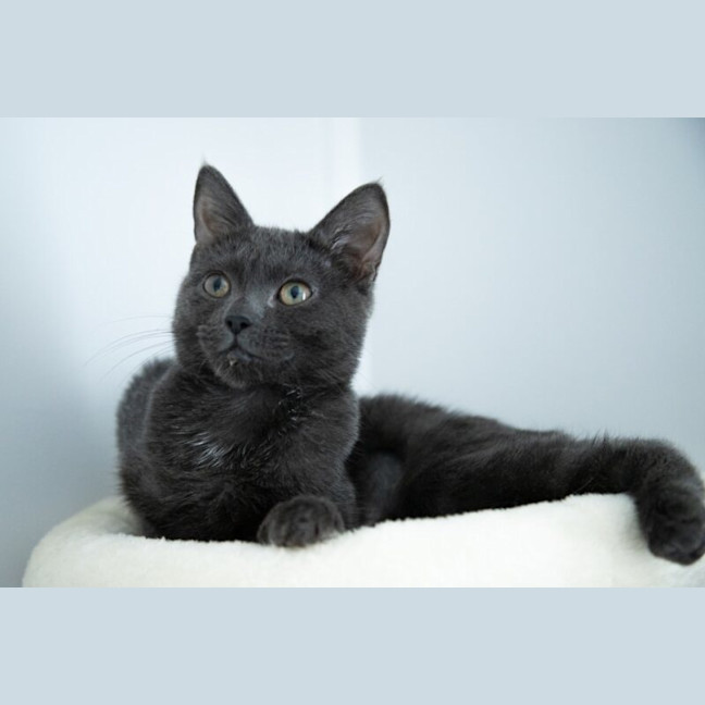 Photo of Baby