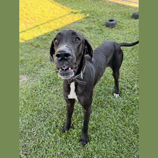 Photo of Hershey