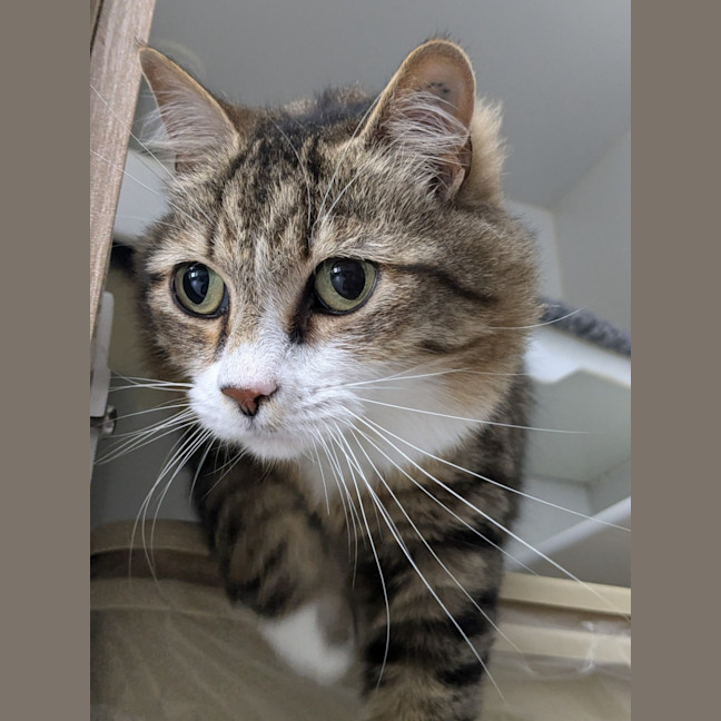 Photo of 🪀 James (Jimmy) 5740 🪀