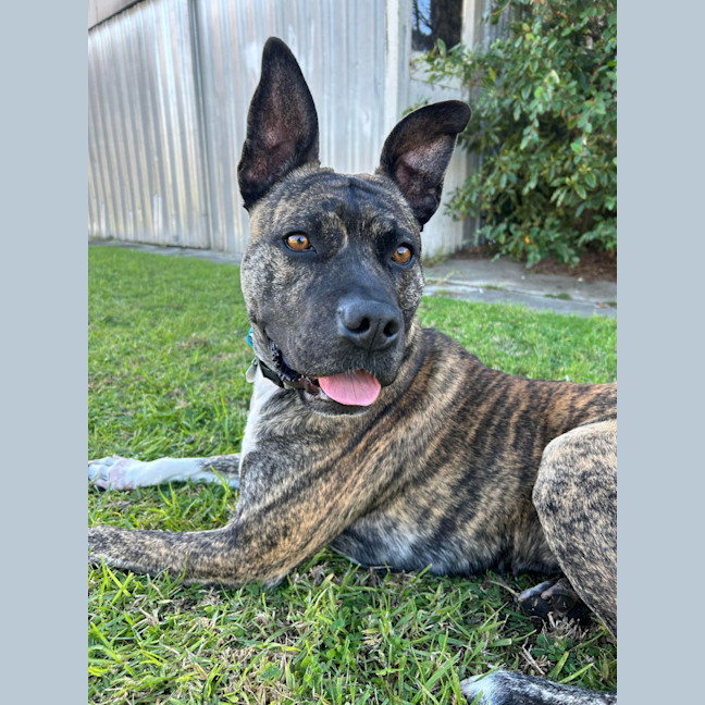 Photo of Lola