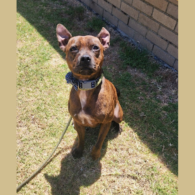 Photo of Freja (68009)