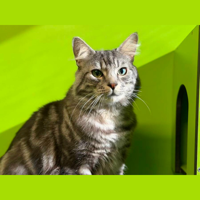 Photo of Gideon