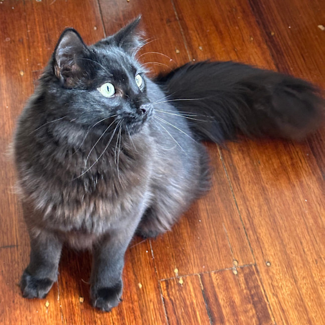 Photo of Max