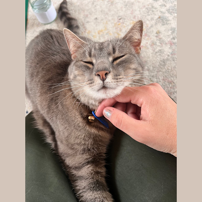 Photo of Roxy